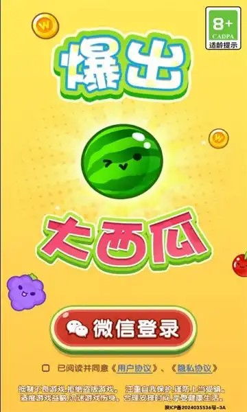 大小西瓜游戏,挑战智力的经典游戏体验